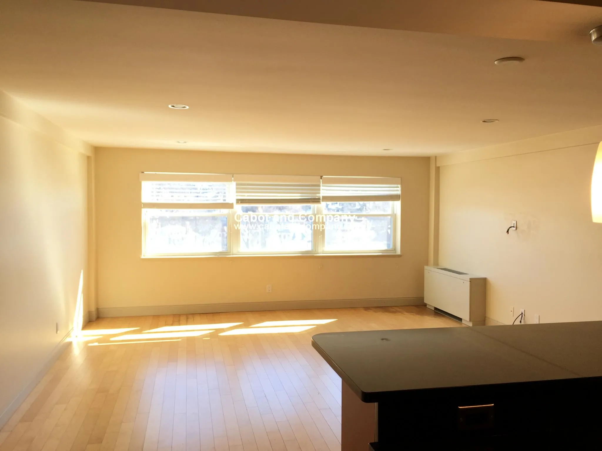 2 bed, 2 bath apartment for rent at 1600 Beacon St Unit 1112, Corey Hill — photo 3 of 12