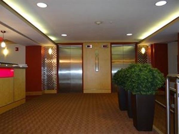 1 bed, 1 bath apartment for rent at 1600 Beacon St Unit 208, Corey Hill — photo 8 of 12