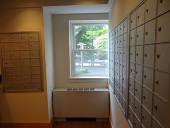 1 bed, 1 bath apartment for rent at 1600 Beacon St Unit 208, Corey Hill — photo 11 of 12