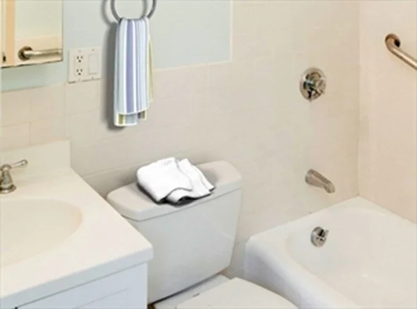 1 bed, 1 bath apartment for rent at 1600 Beacon St Unit 305, Brookline — photo 6 of 16