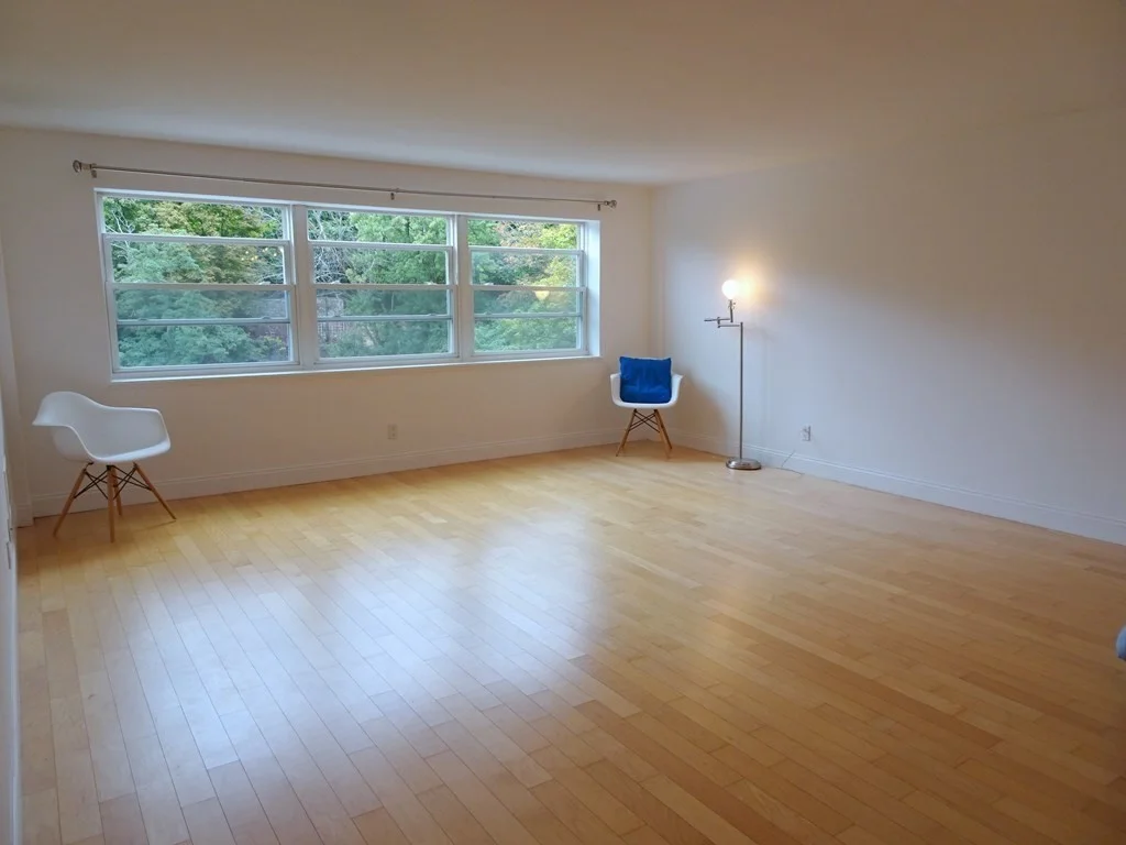 1 bed, 1 bath apartment for rent at 1600 Beacon St Unit 903, Corey Hill — photo 4 of 17
