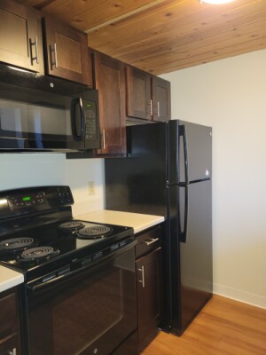 1 bed, 1 bath apartment for rent at 1600 Washington St Unit 3, West Newton — photo 19 of 27