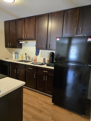1 bed, 1 bath apartment for rent at 1600 Washington St Unit 3, West Newton — photo 15 of 27
