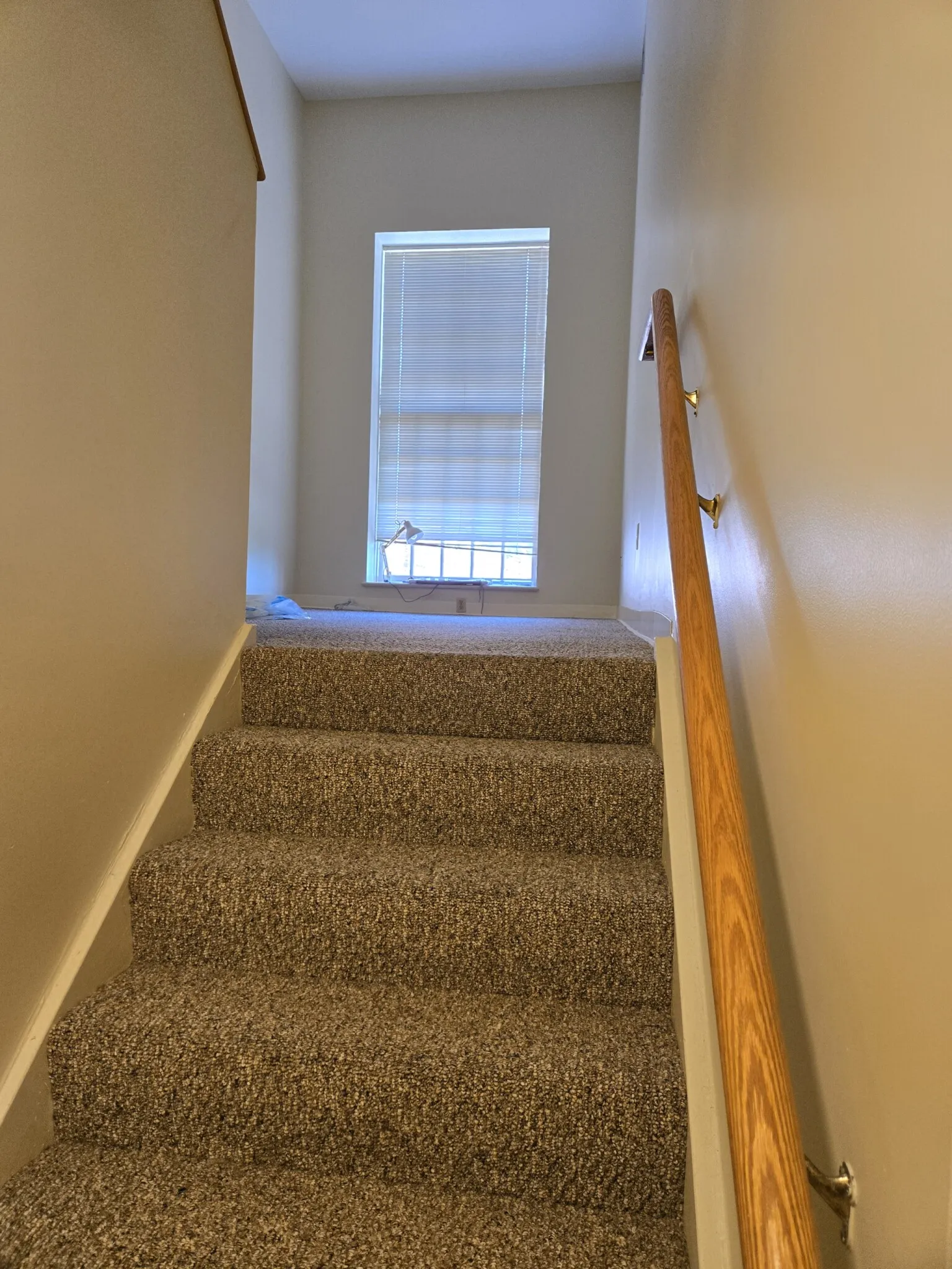 1 bed, 1 bath apartment for rent at 1600 Washington St Unit P5, West Newton — photo 12 of 25