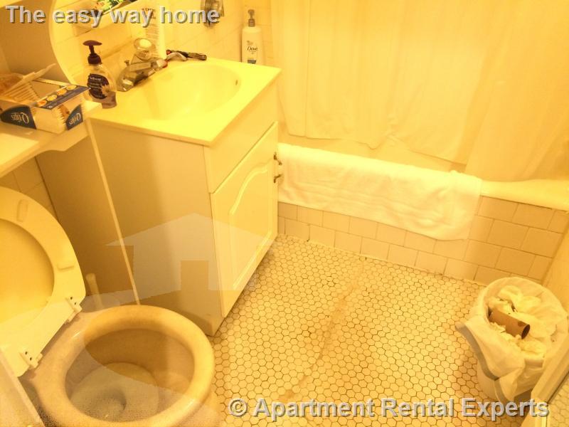 Studio bed, 1 bath apartment for rent at 1610 Massachusetts Ave Unit 4, Harvard Square — photo 7 of 8