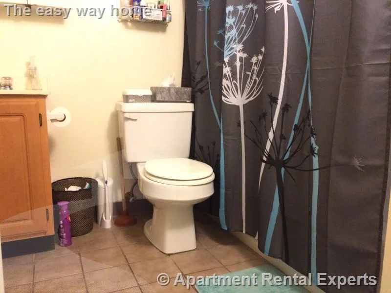 1 bed, 1 bath apartment for rent at 1610 Massachusetts Ave Unit B2, Neighborhood Nine — photo 7 of 12