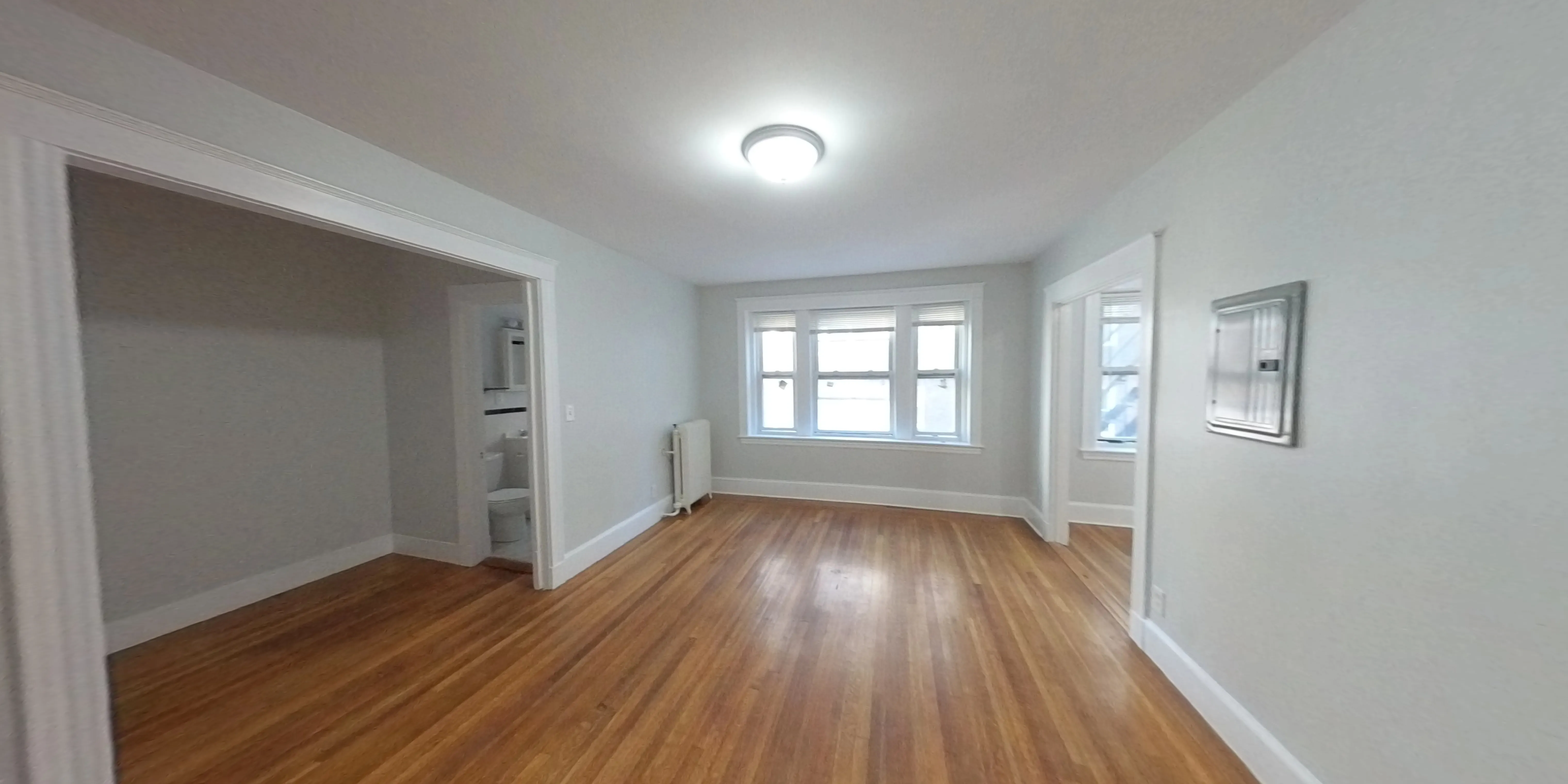 Studio bed, 1 bath apartment for rent at 1615 Commonwealth Ave Unit 12, Brighton — photo 12 of 22