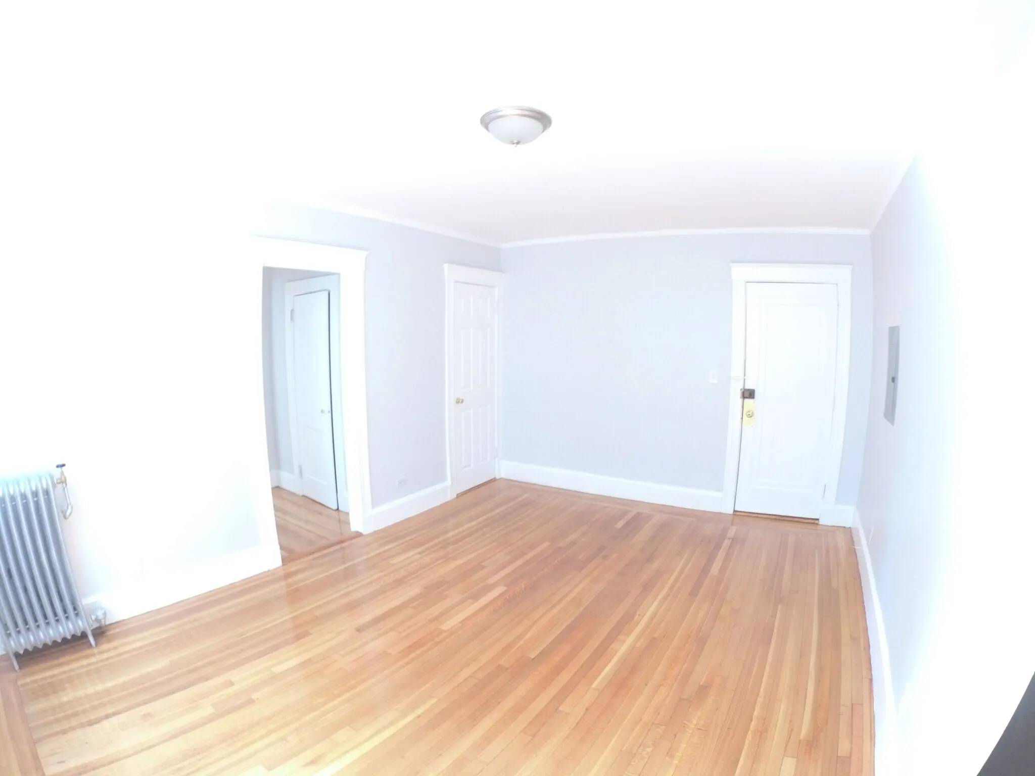 1 bed, 1 bath apartment for rent at 1615 Commonwealth Ave Unit 20, Brighton — photo 8 of 13