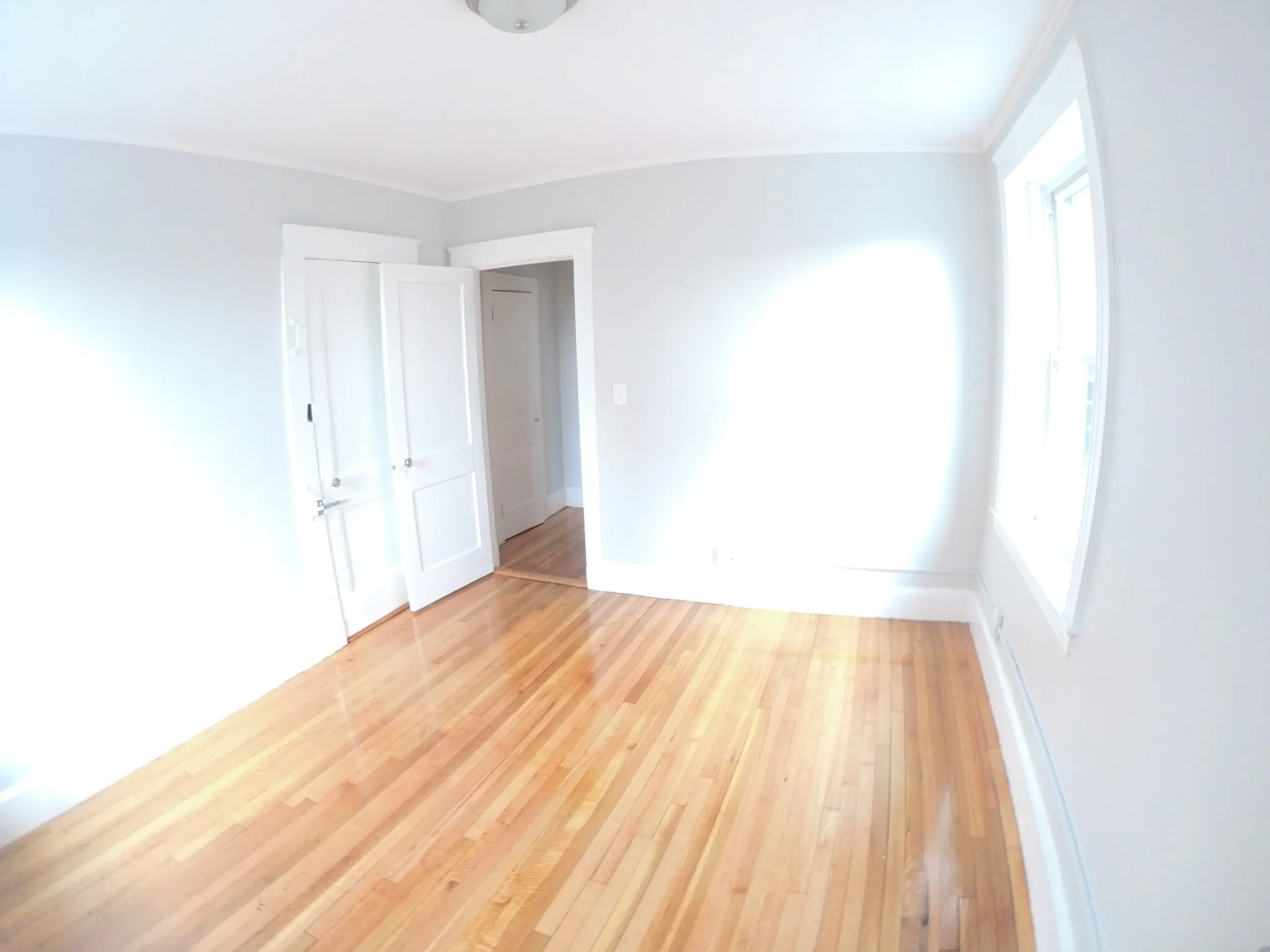 1 bed, 1 bath apartment for rent at 1615 Commonwealth Ave Unit 20, Brighton — photo 11 of 13