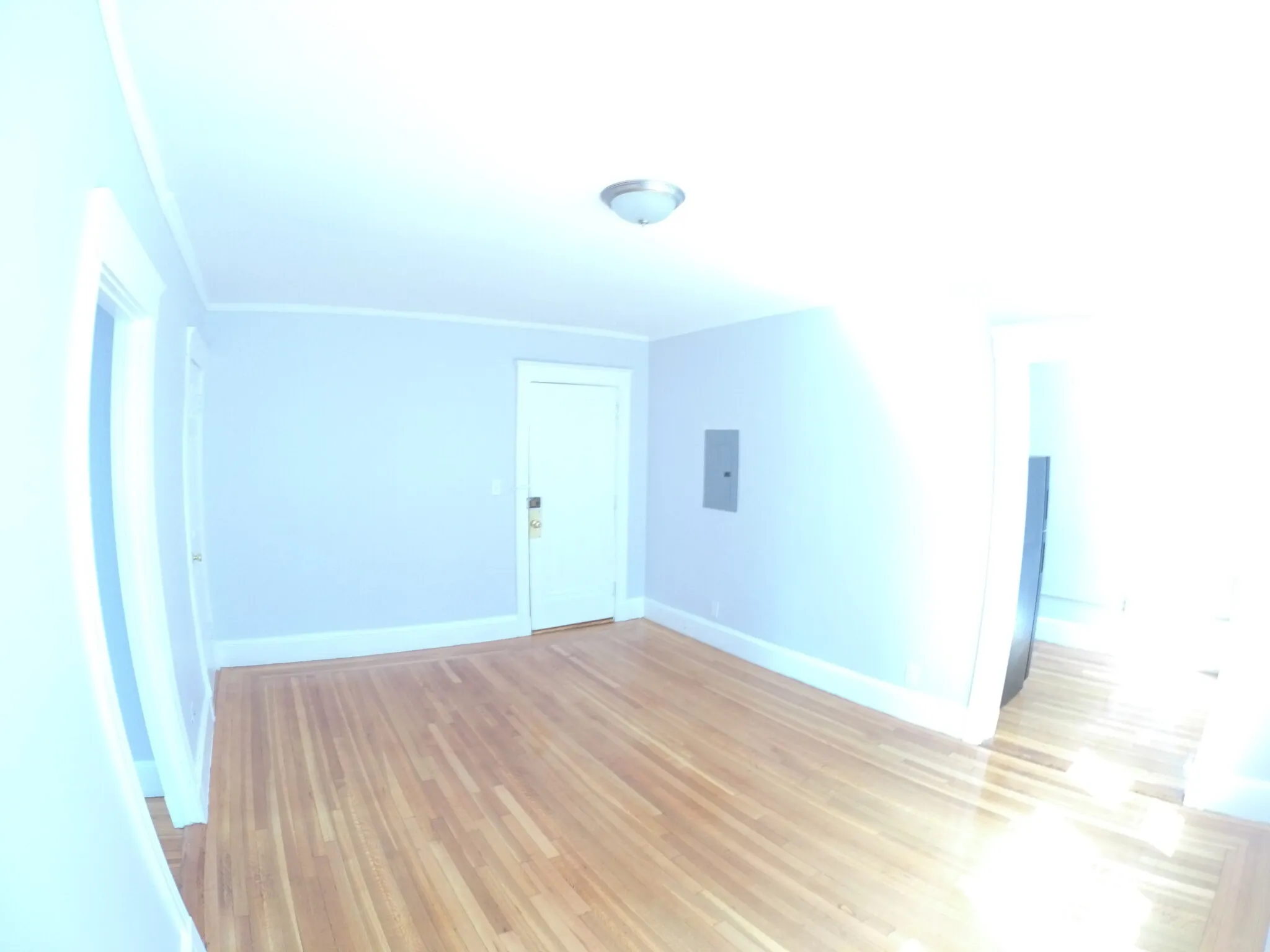 1 bed, 1 bath apartment for rent at 1615 Commonwealth Ave Unit 20, Brighton — photo 9 of 13