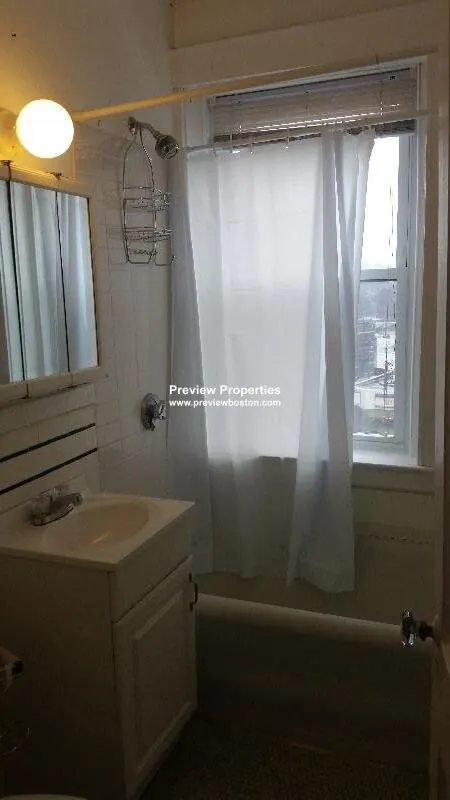 1 bed, 1 bath apartment for rent at 1615 Commonwealth Ave Unit 29P, Brighton — photo 3 of 8