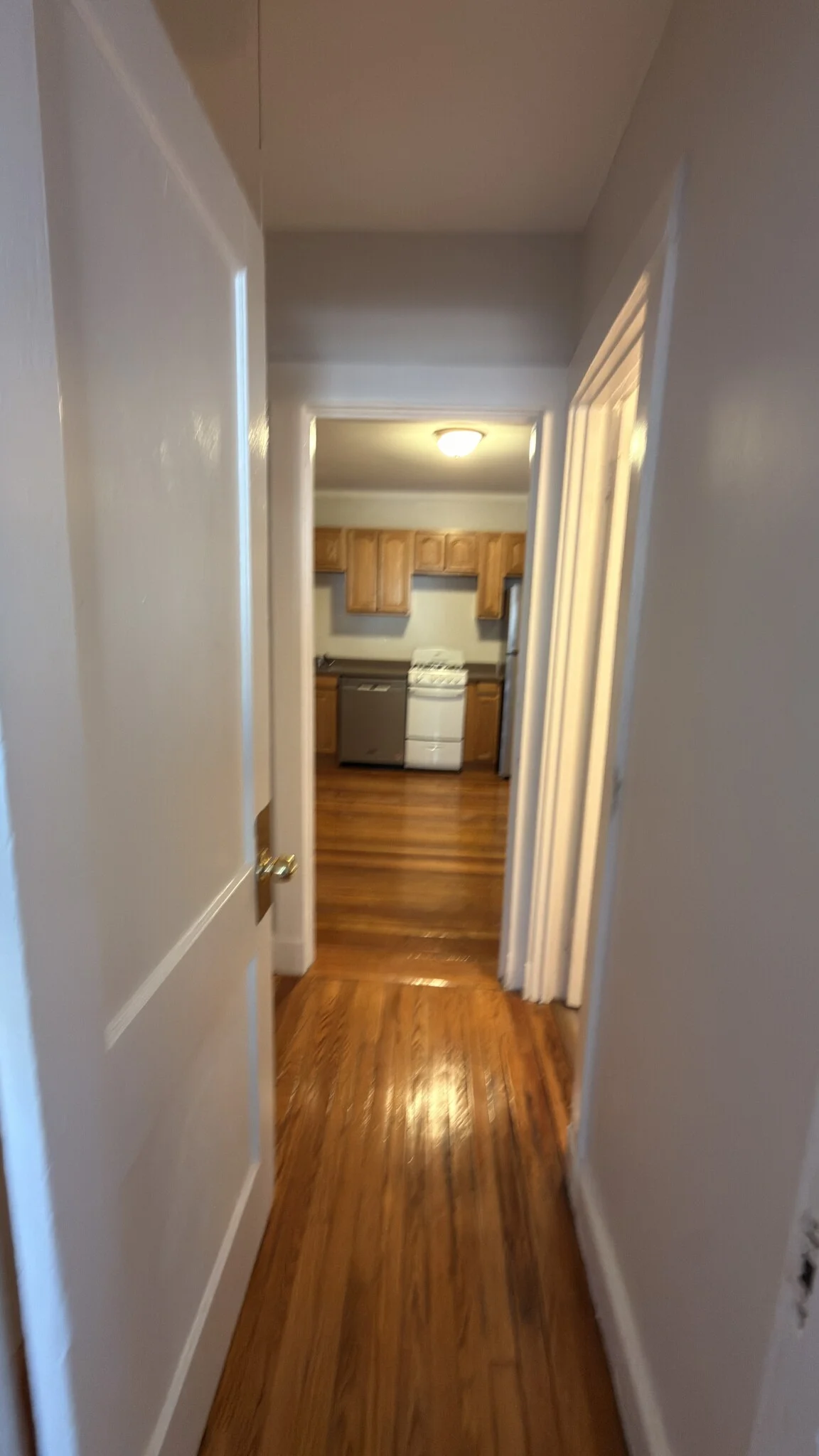 1 bed, 1 bath apartment for rent at 1615 Commonwealth Ave Unit 6D, Brighton — photo 11 of 12