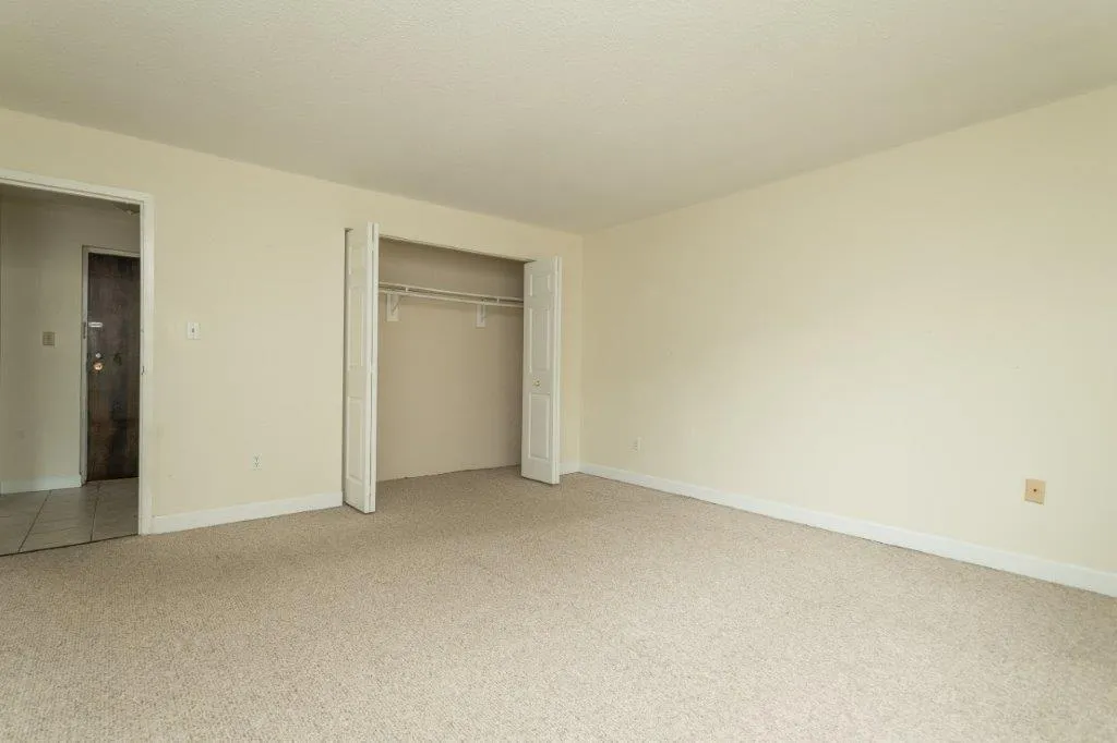 1 bed, 1 bath apartment for rent at 162 Summer St Unit 11, Spring Hill — photo 5 of 8