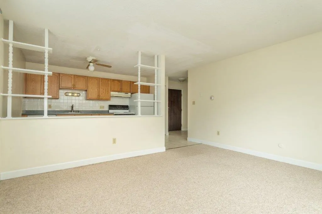 1 bed, 1 bath apartment for rent at 162 Summer St Unit 11, Spring Hill — photo 7 of 8