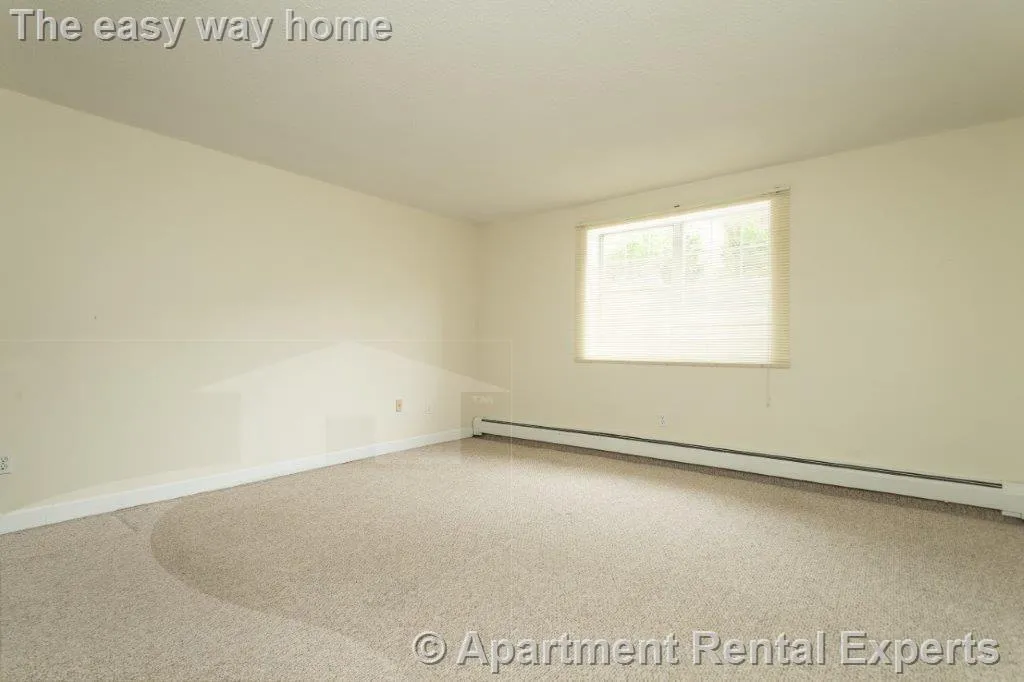1 bed, 1 bath apartment for rent at 162 Summer St Unit 11, Spring Hill — photo 6 of 8