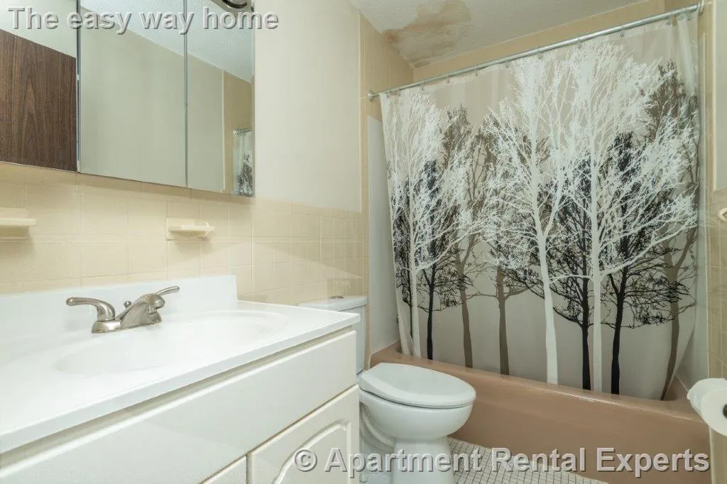 1 bed, 1 bath apartment for rent at 162 Summer St Unit 11, Spring Hill — photo 8 of 8
