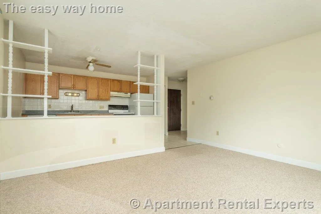 1 bed, 1 bath apartment for rent at 162 Summer St Unit 11, Spring Hill — photo 4 of 8