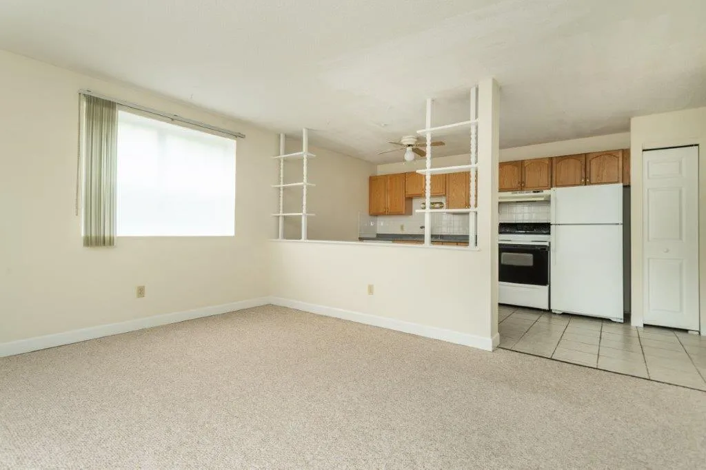 1 bed, 1 bath apartment for rent at 162 Summer St Unit 11, Spring Hill — photo 3 of 8