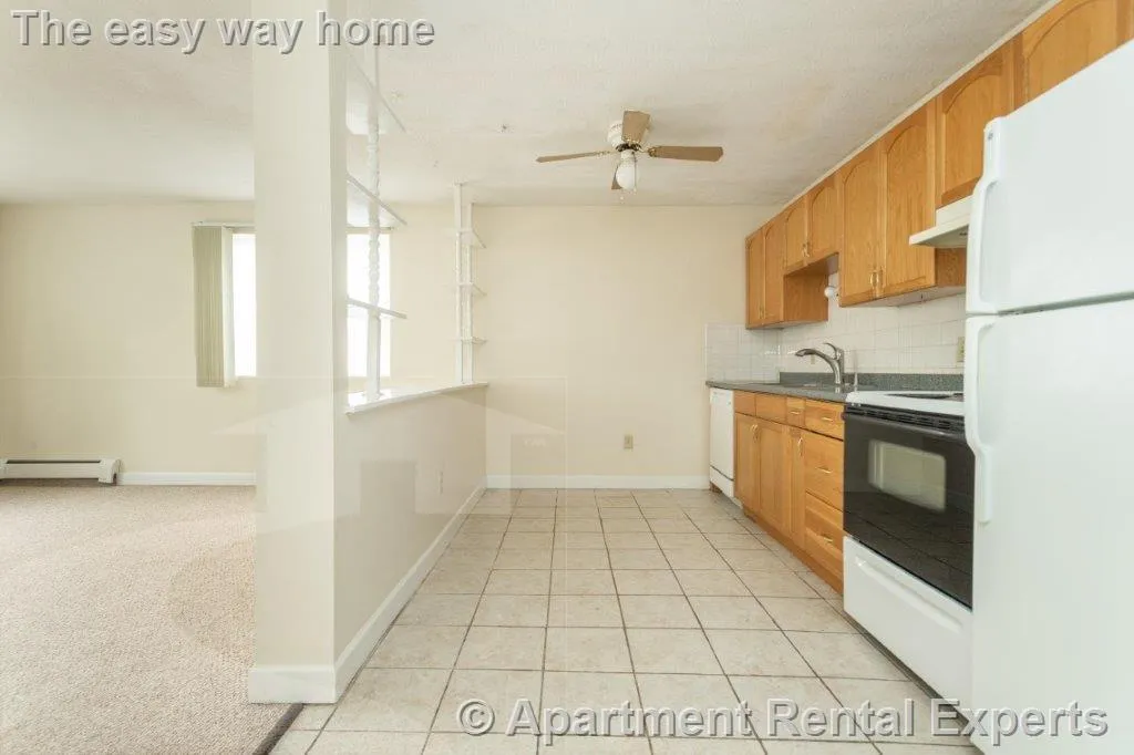 1 bed, 1 bath apartment for rent at 162 Summer St Unit 11, Spring Hill — photo 2 of 8
