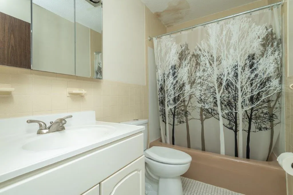 1 bed, 1 bath apartment for rent at 162 Summer St Unit 11, Spring Hill — photo 8 of 8