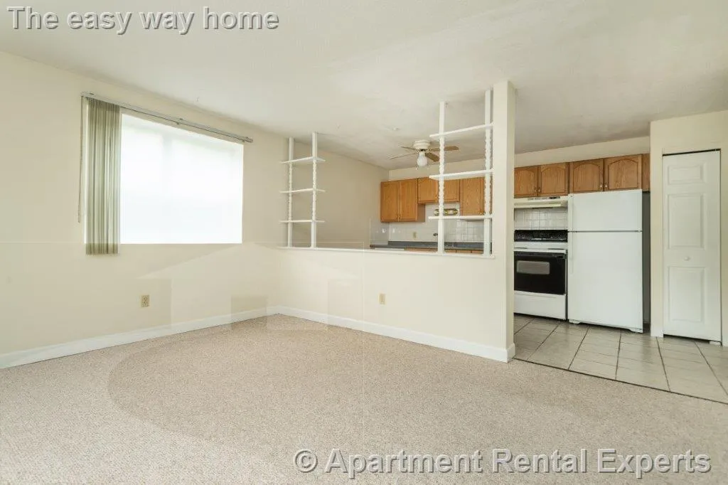 1 bed, 1 bath apartment for rent at 162 Summer St Unit 11, Spring Hill — photo 1 of 8