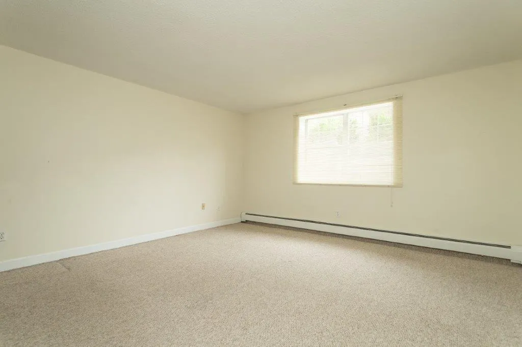 1 bed, 1 bath apartment for rent at 162 Summer St Unit 11, Spring Hill — photo 6 of 8
