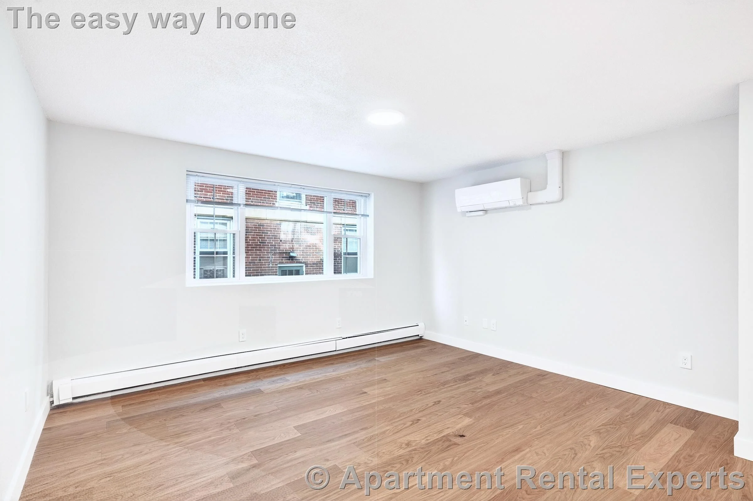 Studio bed, 1 bath apartment for rent at 162 Summer St Unit 14, Spring Hill — photo 3 of 4