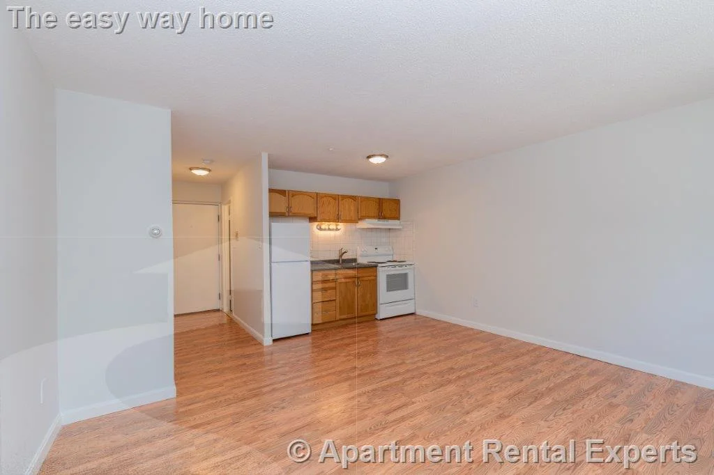 Studio bed, 1 bath apartment for rent at 162 Summer St Unit 15, Spring Hill