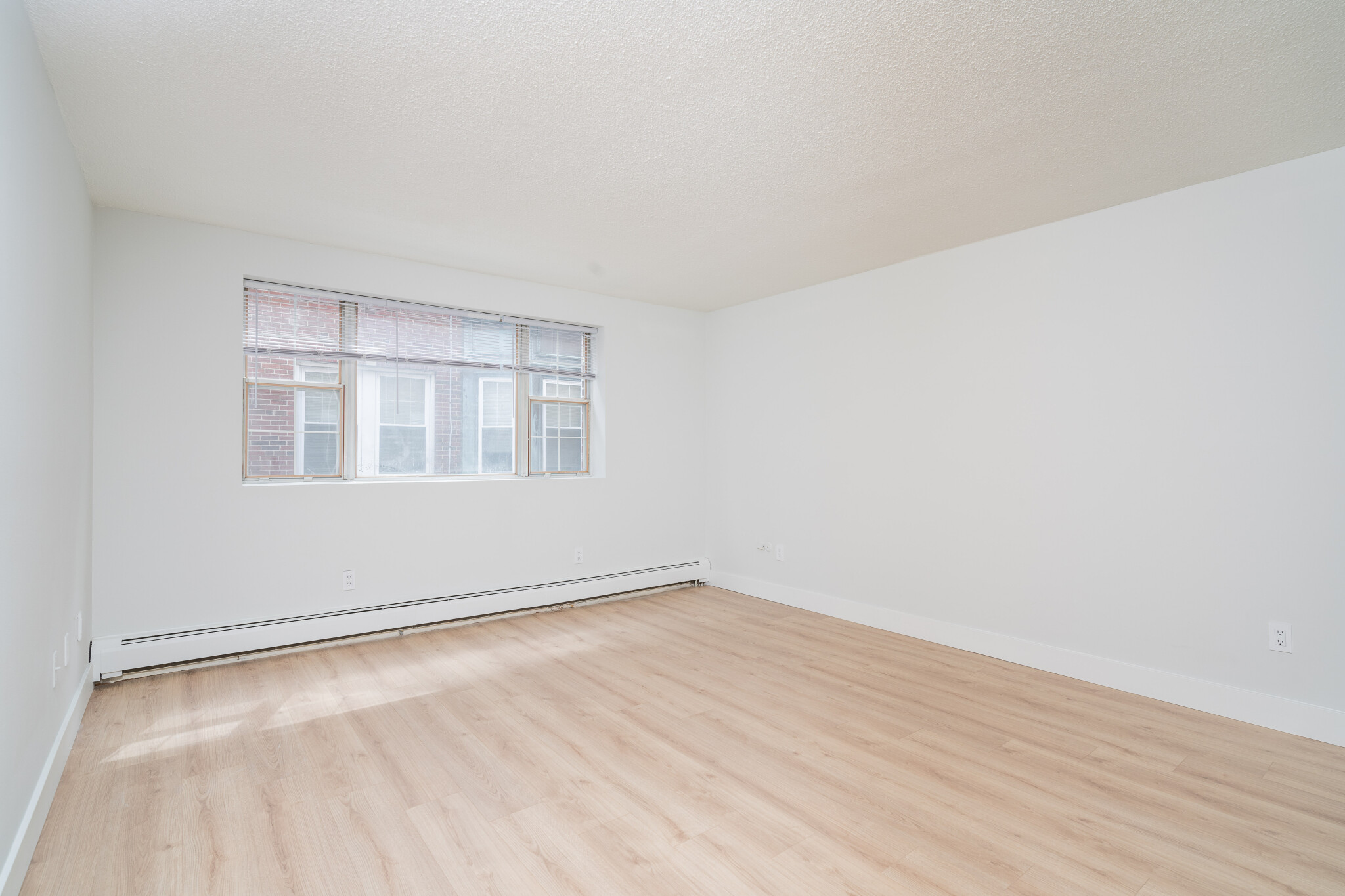 1 bed, 1 bath apartment for rent at 162 Summer St Unit 24, Spring Hill — photo 5 of 7