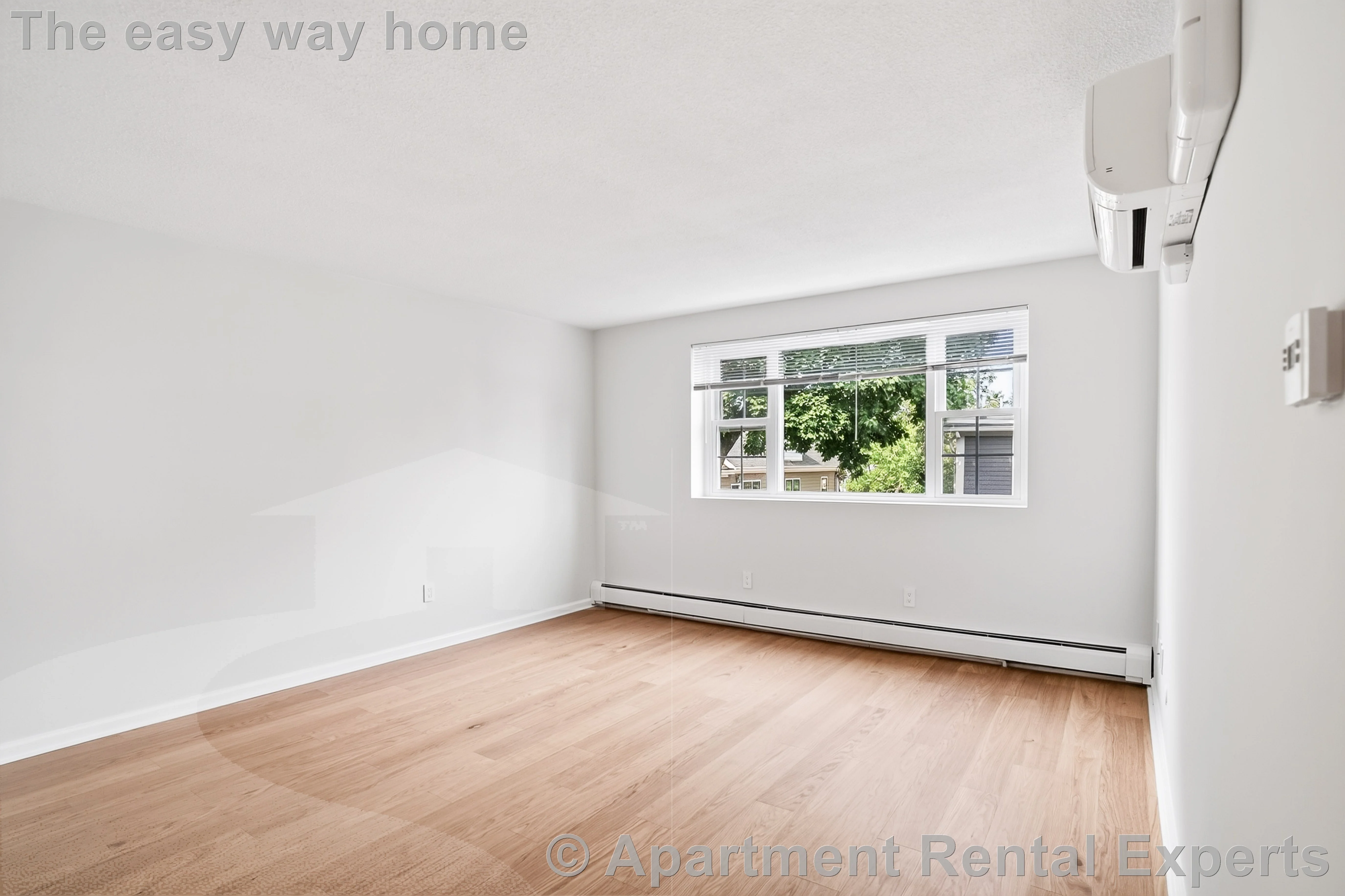 1 bed, 1 bath apartment for rent at 162 Summer St Unit 33, Spring Hill — photo 2 of 7