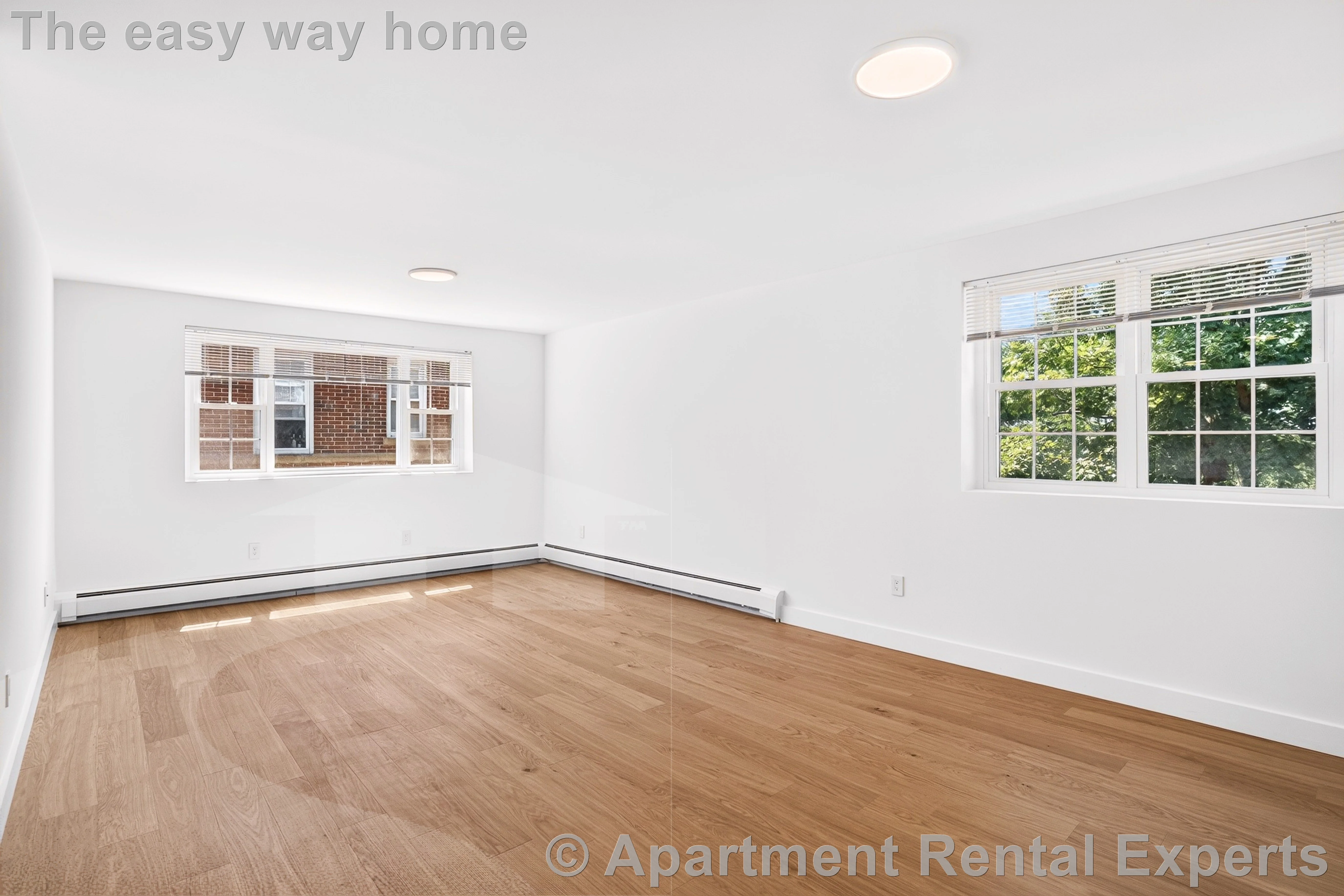 2 bed, 1 bath apartment for rent at 162 Summer St Unit 46, Spring Hill — photo 2 of 10