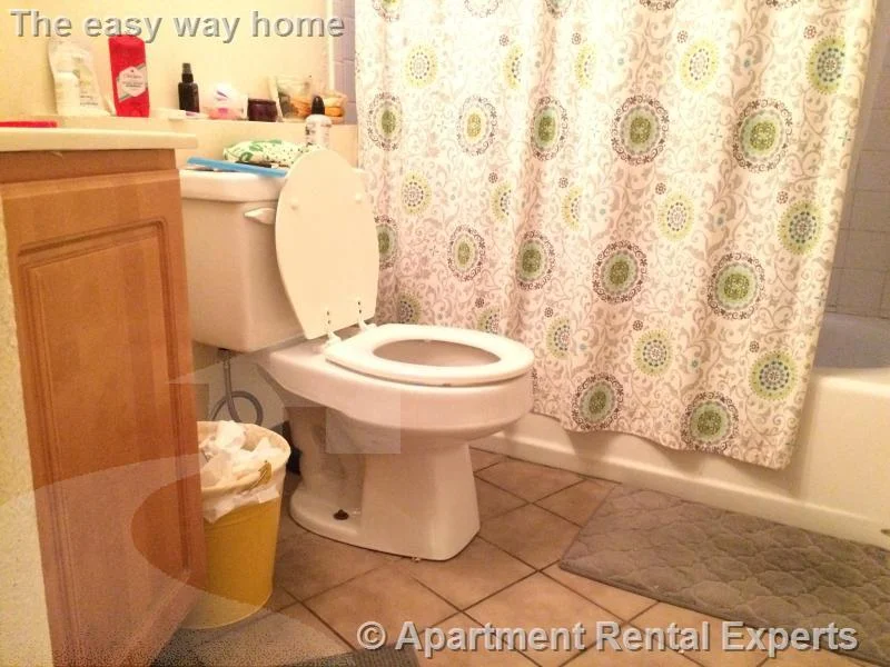 2 bed, 1 bath apartment for rent at 1622 Massachusetts Ave Unit B3, Harvard Square — photo 6 of 7