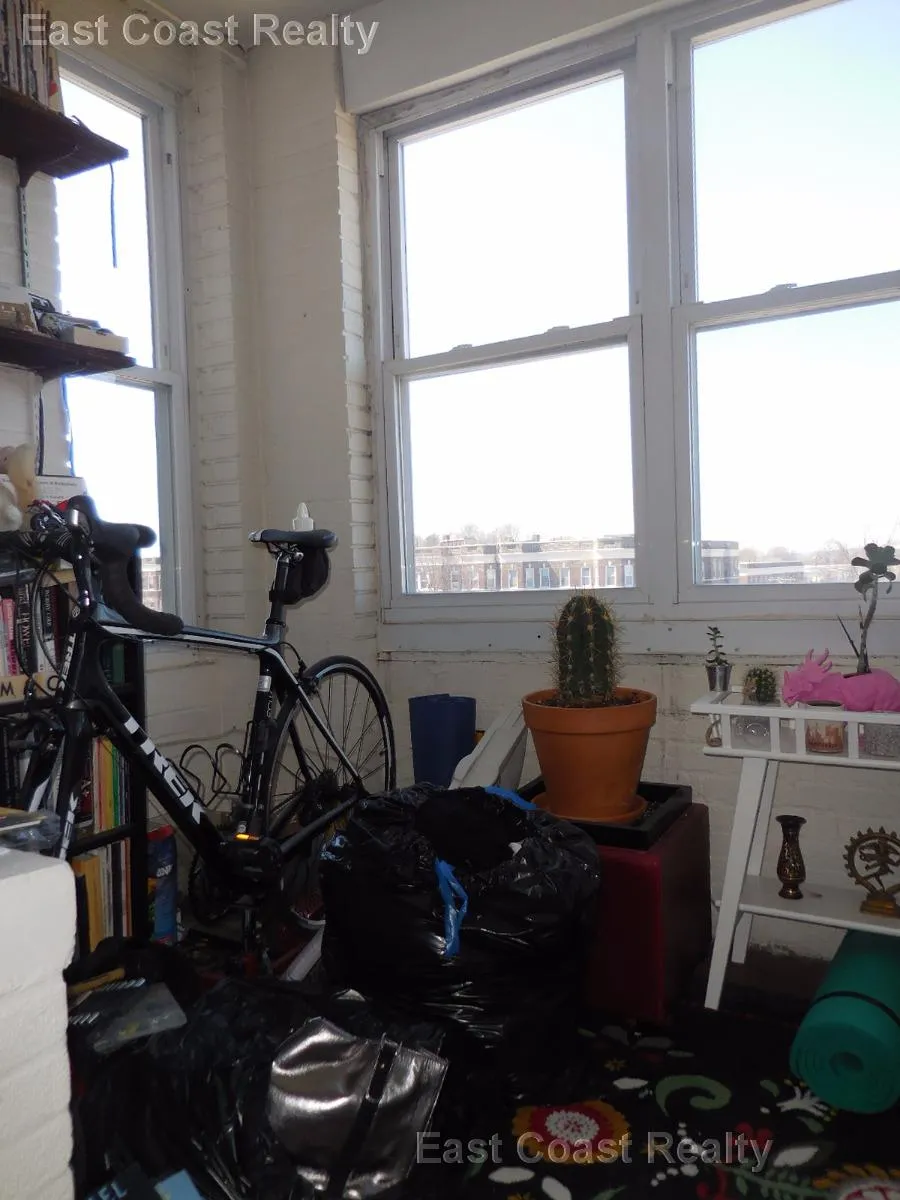 1 bed, 1 bath apartment for rent at 1626 Commonwealth Ave Unit 19, Brighton — photo 12 of 16