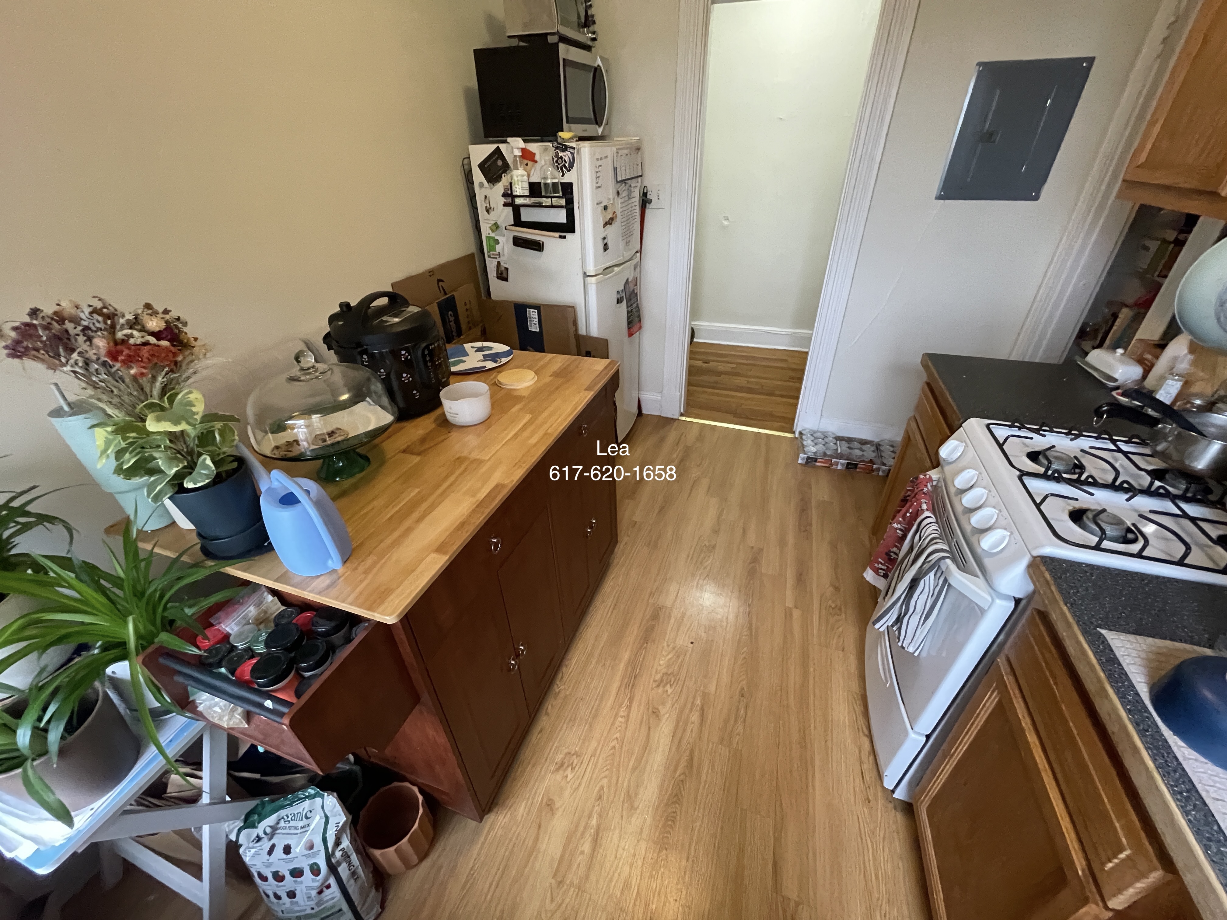1 bed, 1 bath apartment for rent at 1626 Commonwealth Ave Unit 26, Brighton — photo 13 of 13