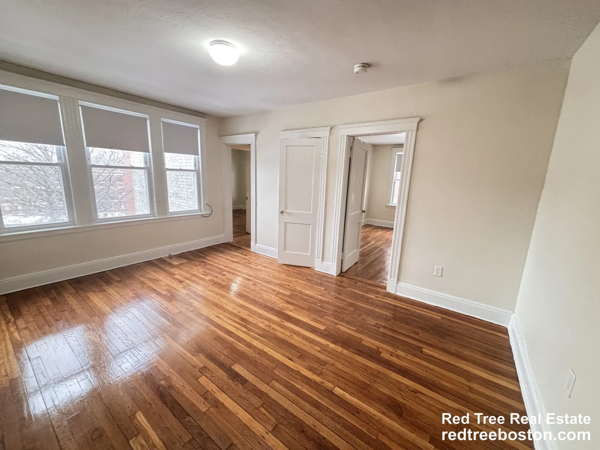 2 bed, 1 bath apartment for rent at 1626 Commonwealth Ave Unit 6, Brighton — photo 3 of 12