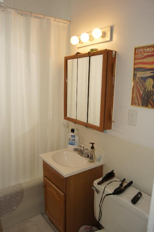 1 bed, 1 bath apartment for rent at 1626 Commonwealth Ave Unit 8, Brighton — photo 8 of 18