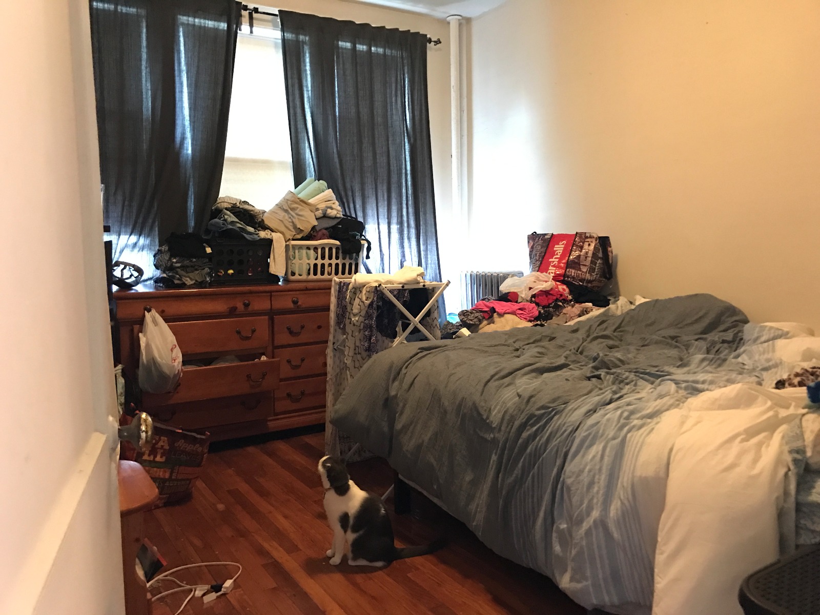 1 bed, 1 bath apartment for rent at 1626 Commonwealth Ave Unit 8M, Brighton — photo 6 of 6
