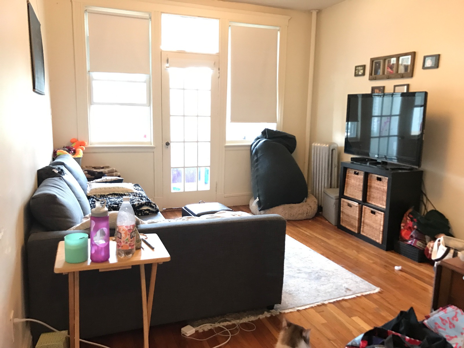 1 bed, 1 bath apartment for rent at 1626 Commonwealth Ave Unit 8M, Brighton — photo 1 of 6