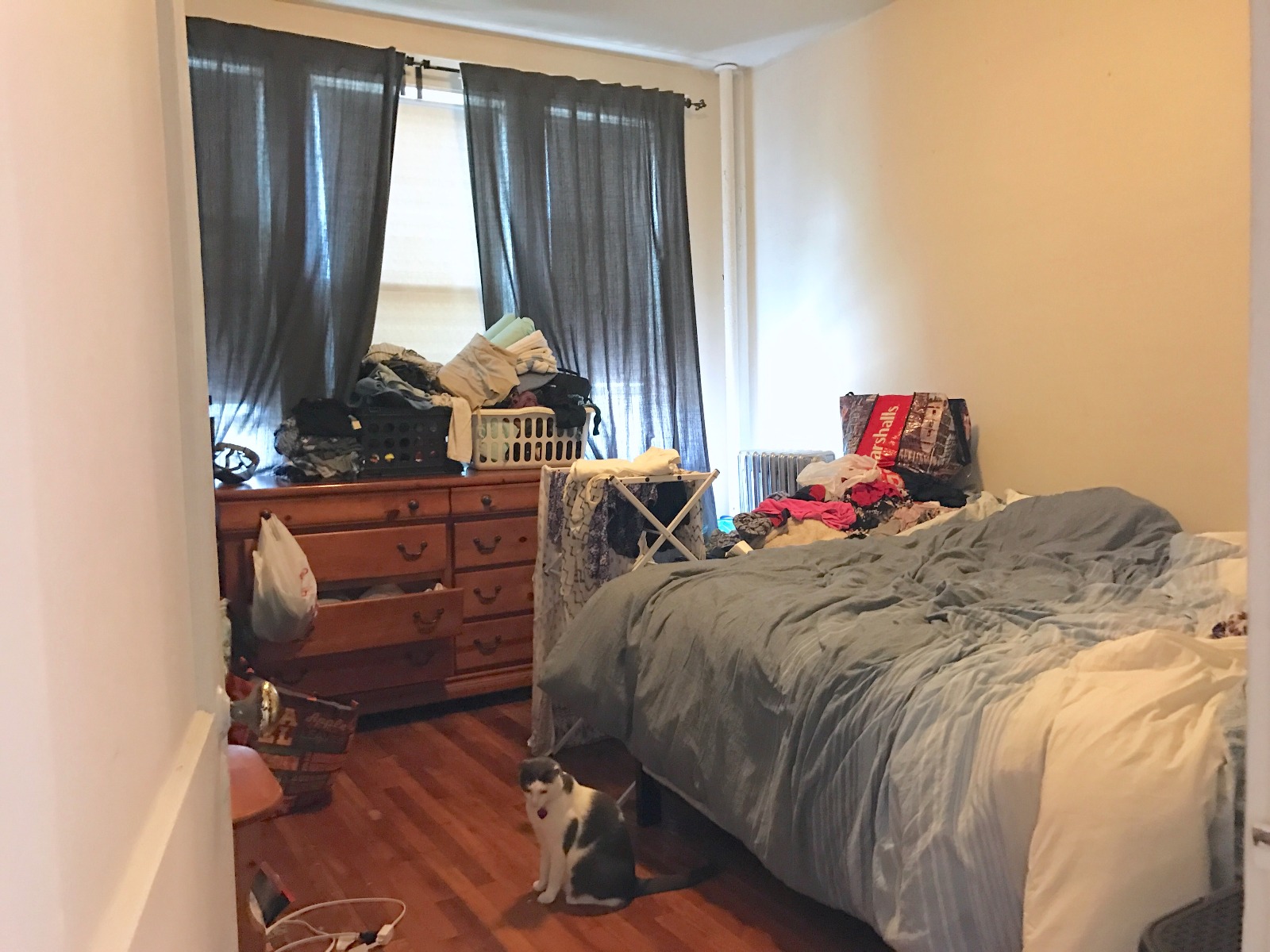 1 bed, 1 bath apartment for rent at 1626 Commonwealth Ave Unit 8M, Brighton — photo 3 of 6