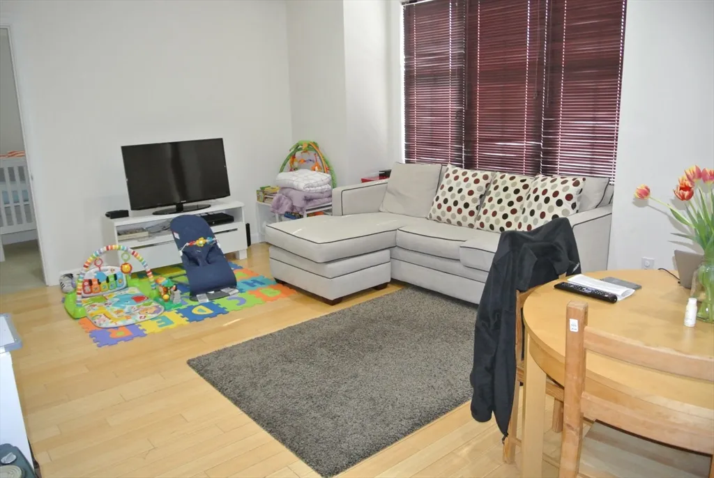 2 bed, 2 bath apartment for rent at 163 Chestnut Hill Ave Unit 202, Brighton — photo 3 of 5