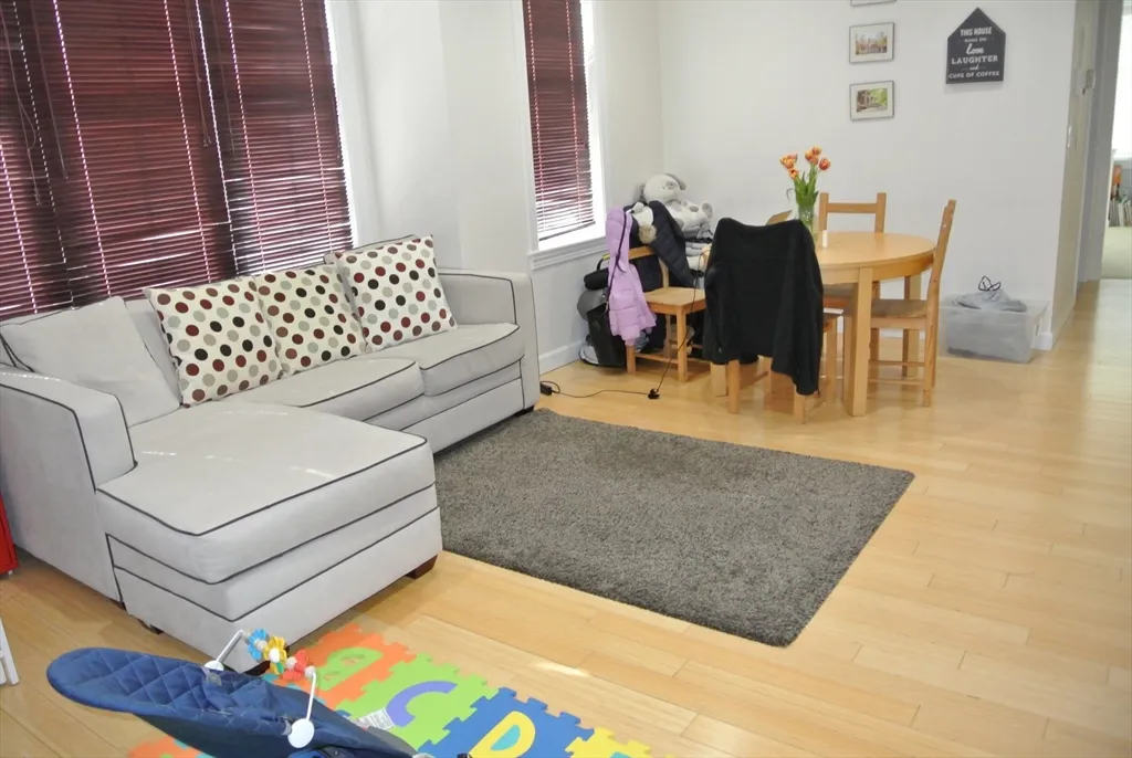 2 bed, 2 bath apartment for rent at 163 Chestnut Hill Ave Unit 202, Brighton — photo 1 of 5