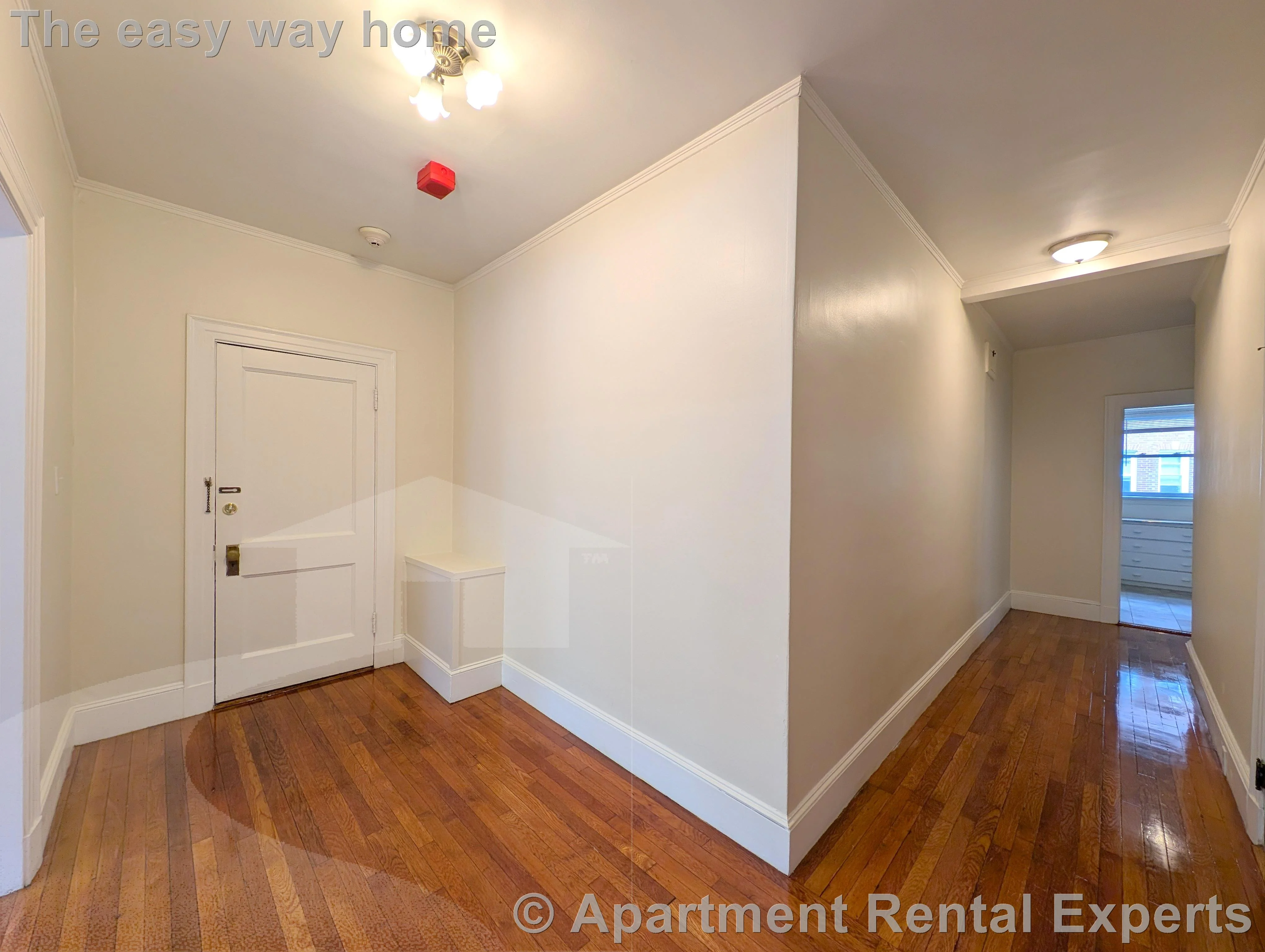 3 bed, 1 bath apartment for rent at 163 Summer St Unit 1, Spring Hill — photo 4 of 18