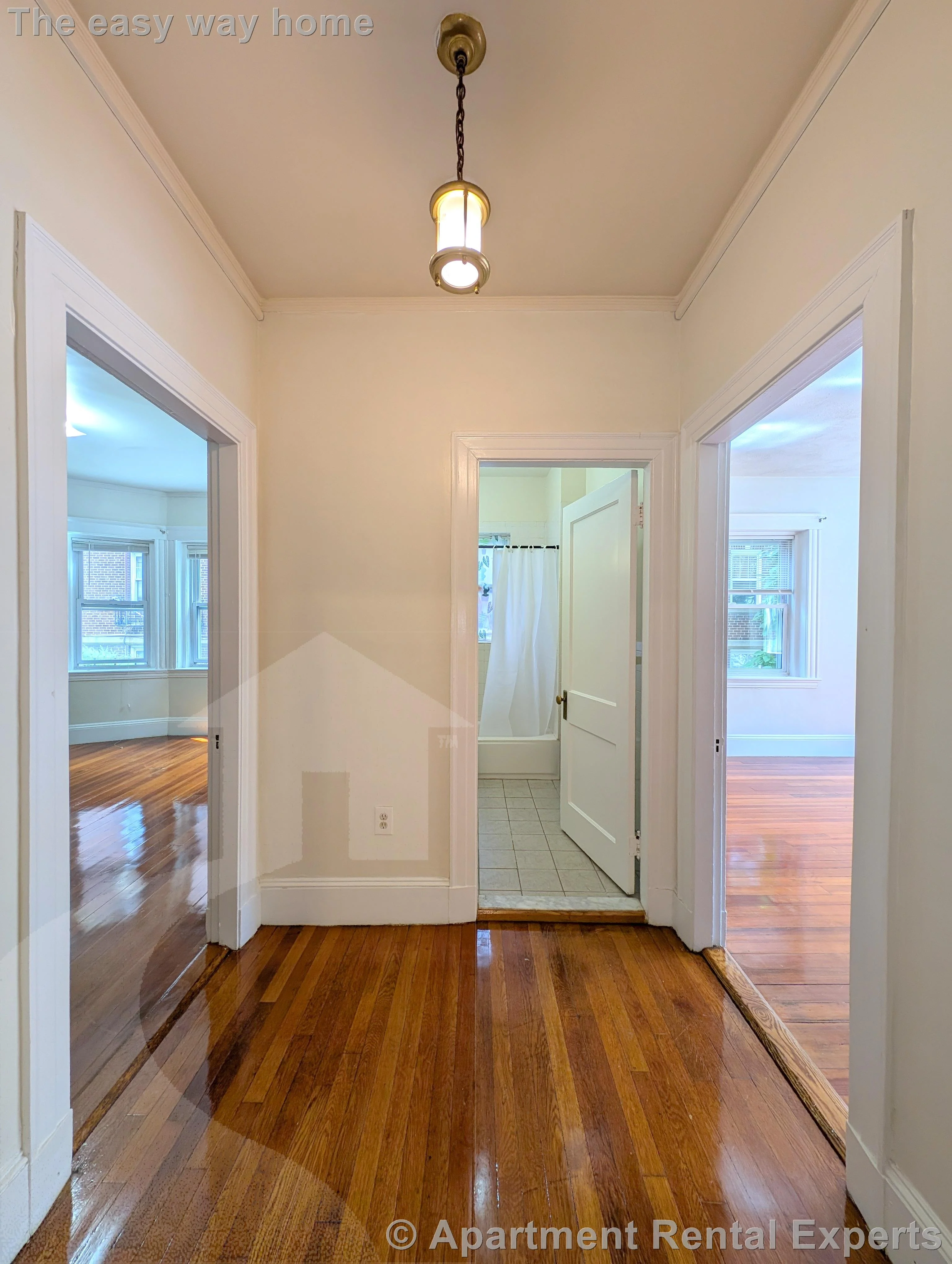3 bed, 1 bath apartment for rent at 163 Summer St Unit 1, Spring Hill — photo 5 of 18