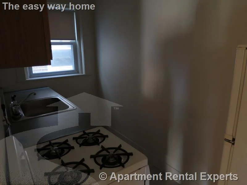 1 bed, 1 bath apartment for rent at 163 Summer St Unit 26, Spring Hill — photo 4 of 7