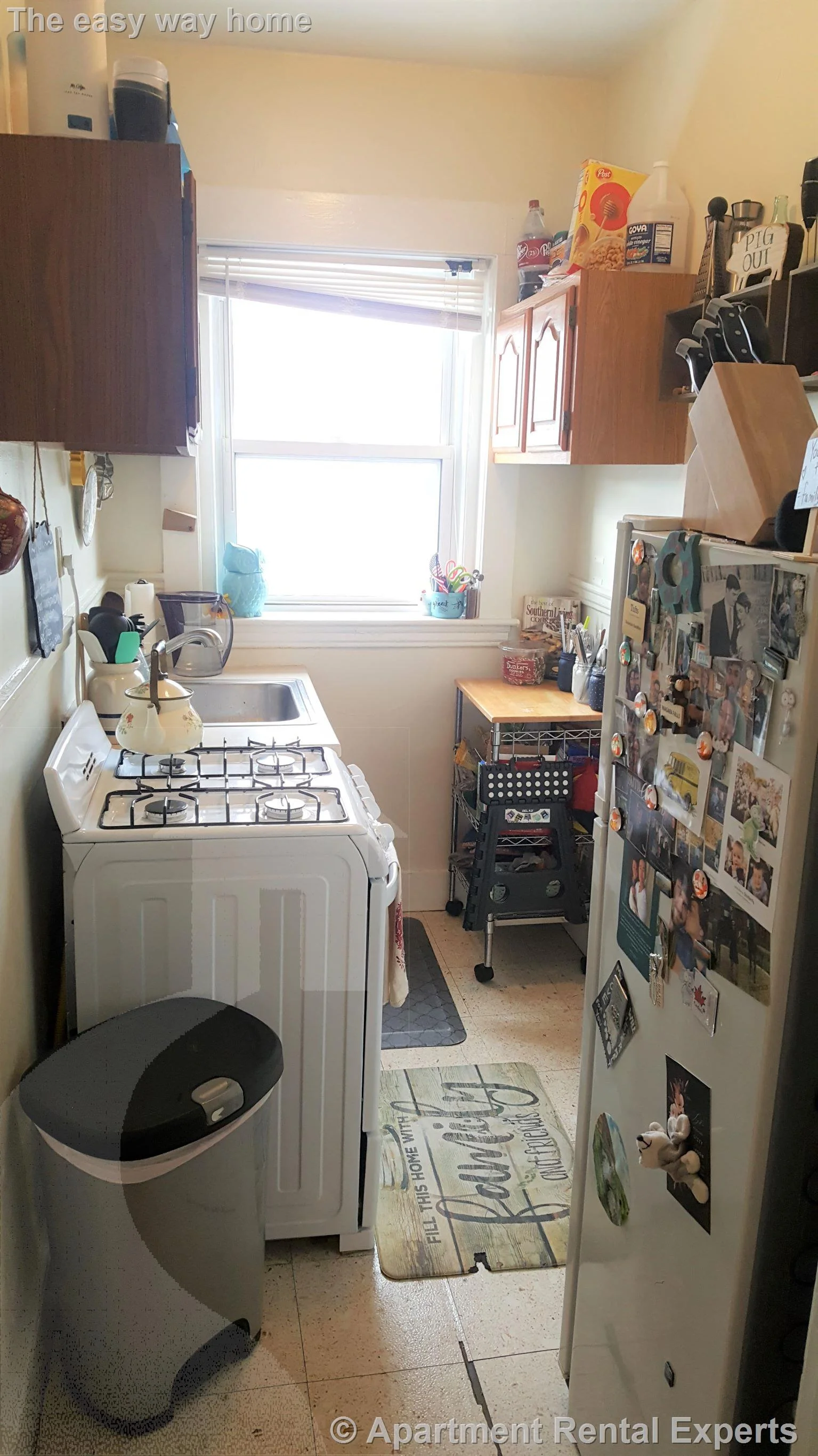 1 bed, 1 bath apartment for rent at 163 Summer St Unit 33, Spring Hill — photo 2 of 10