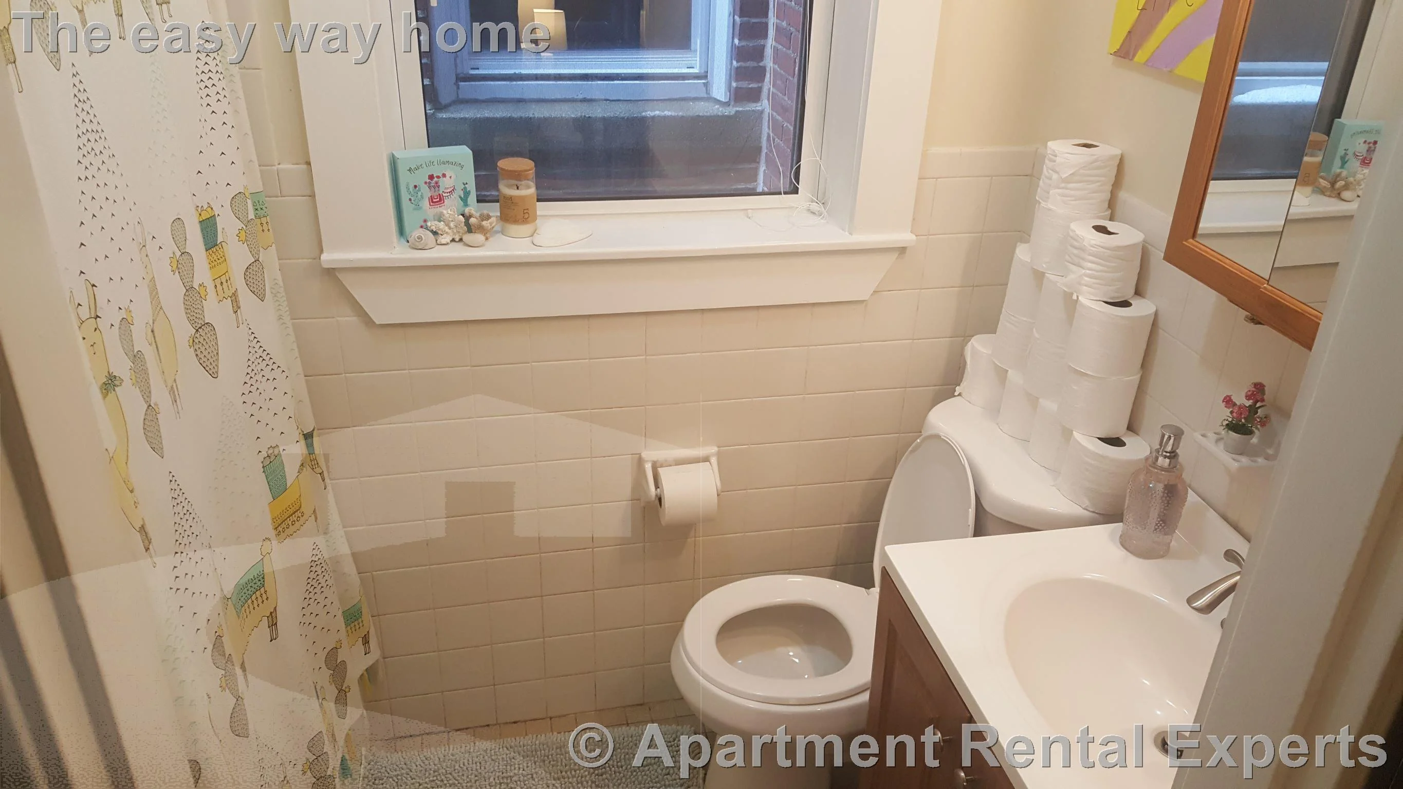 1 bed, 1 bath apartment for rent at 163 Summer St Unit 33, Spring Hill — photo 8 of 10