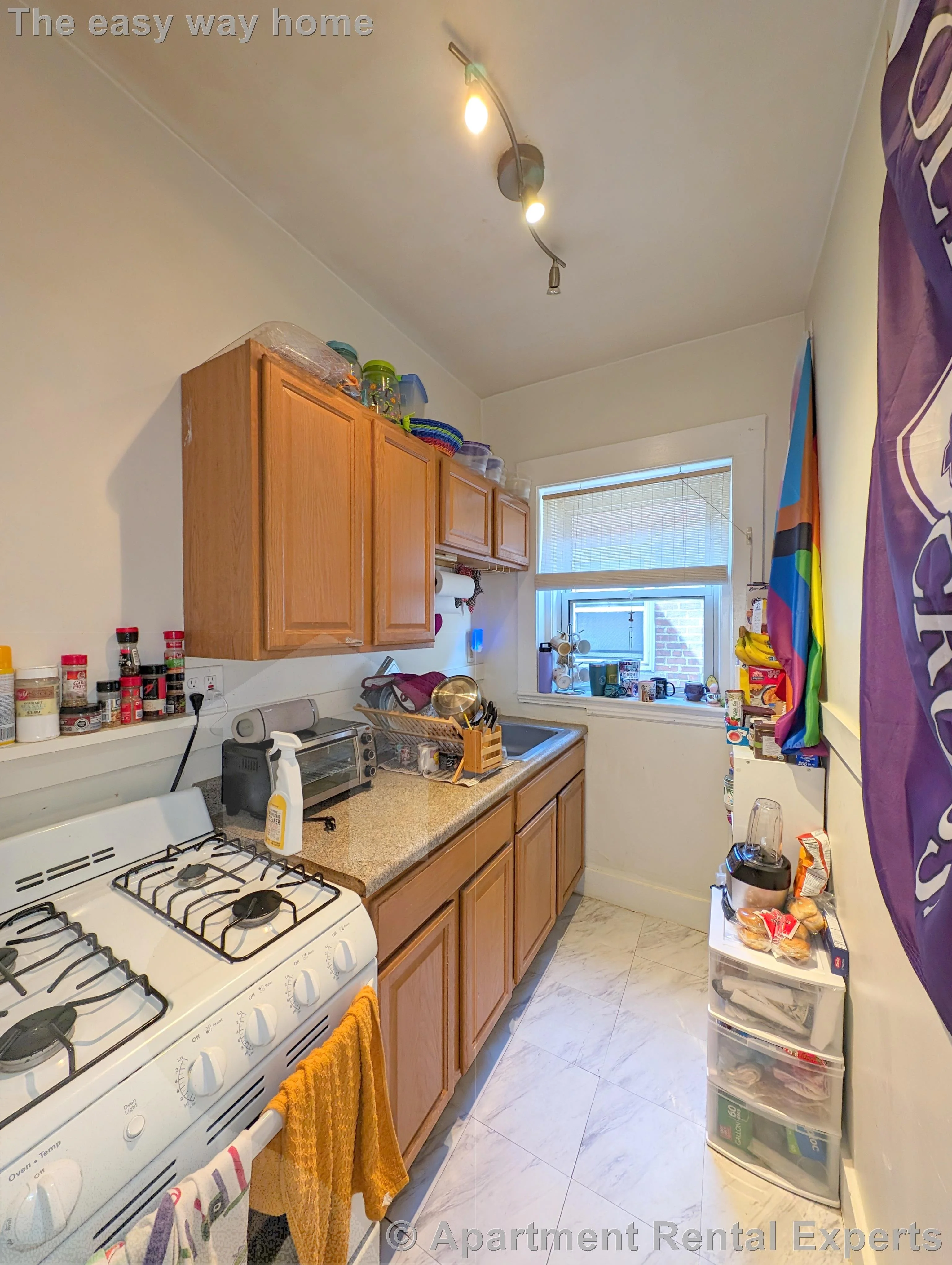 2 bed, 1 bath apartment for rent at 163 Summer St Unit 36, Spring Hill — photo 6 of 12