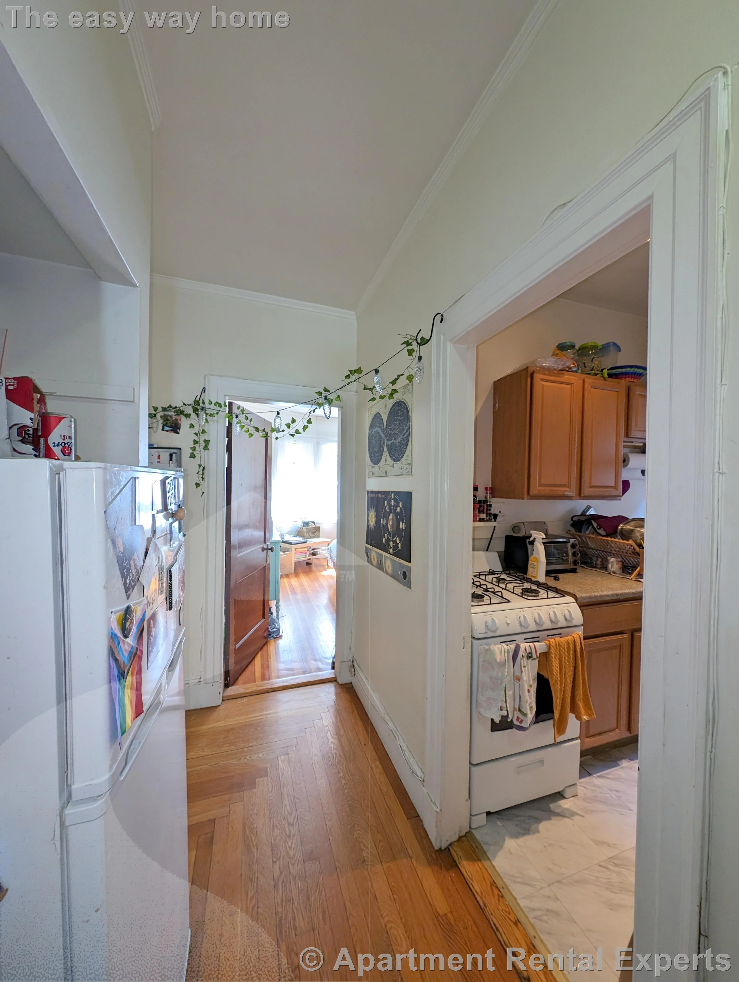 2 bed, 1 bath apartment for rent at 163 Summer St Unit 36, Spring Hill — photo 5 of 12