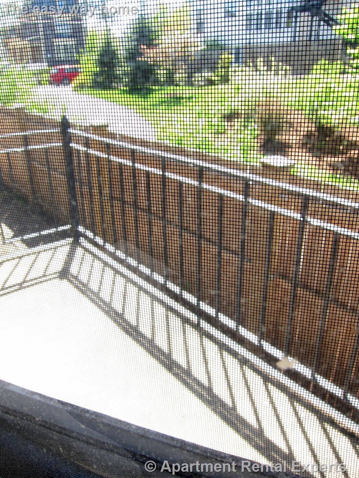 1 bed, 1 bath apartment for rent at 163 Summer St Unit 4, Spring Hill — photo 8 of 8