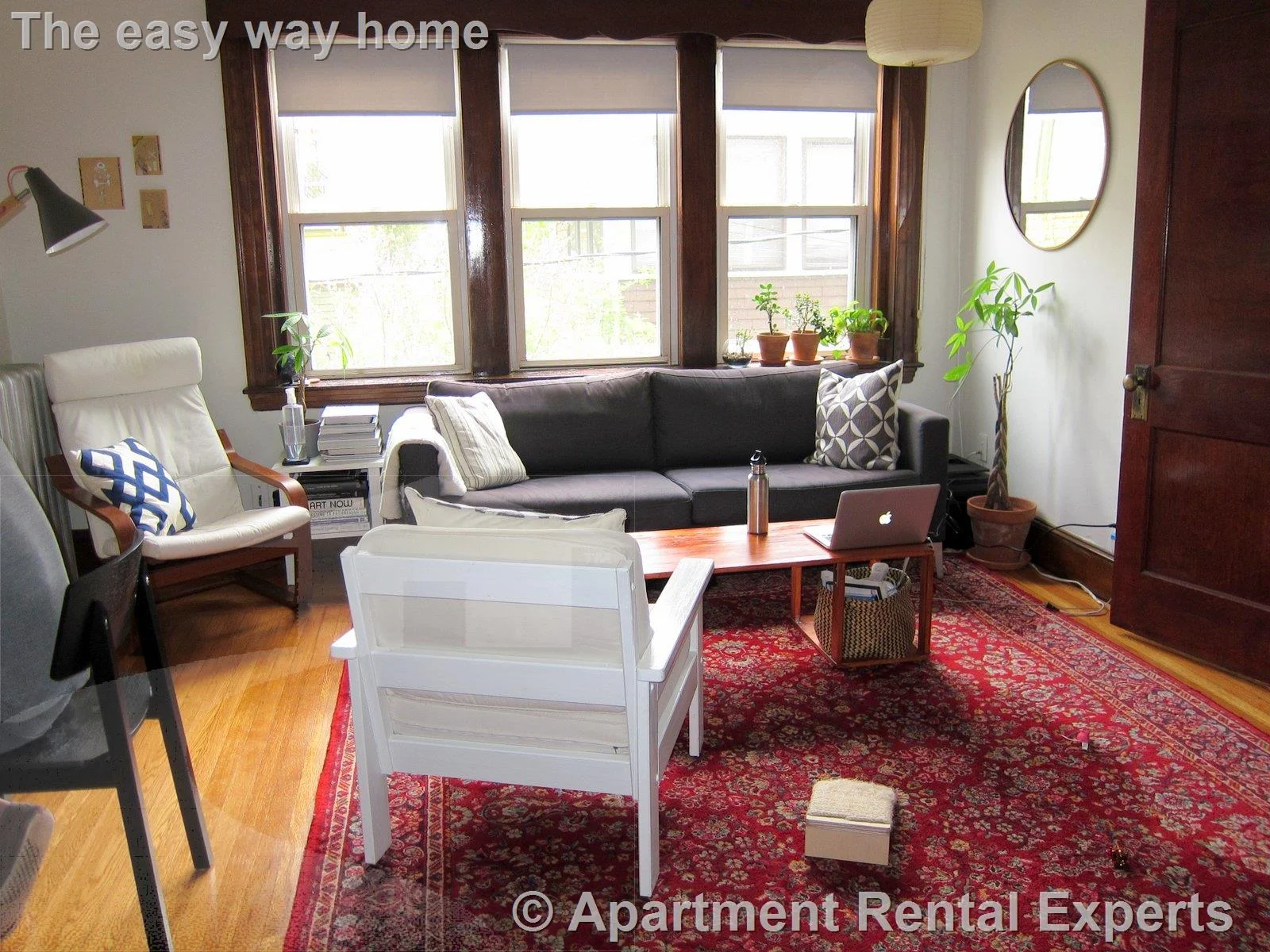 1 bed, 1 bath apartment for rent at 163 Summer St Unit 8, Spring Hill — photo 1 of 2
